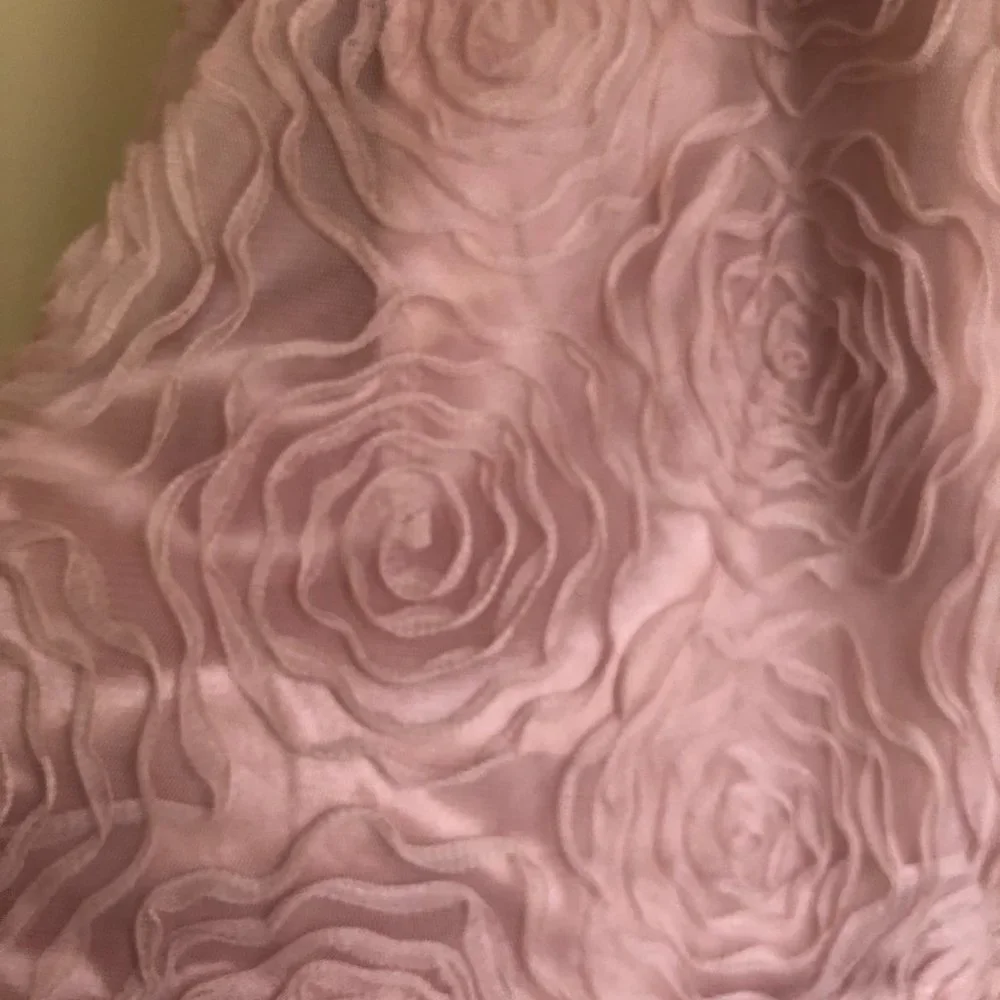 NWT Teeze Me Strapless Rose-Textured Mini Dress in Blush | Size 9 - Picture 6 of 14